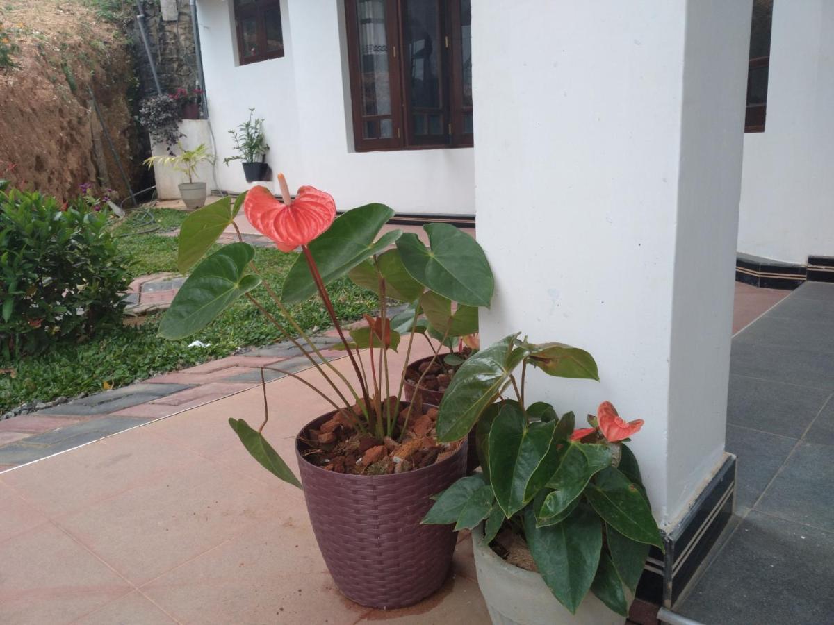 Holly House Homestay Ella Exteriér fotografie
